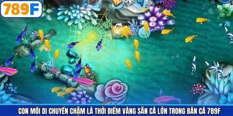 Con mồi di chuyển chậm là khung giờ vàng khi săn ngư Con mồi di chuyển chậm là khung giờ vàng khi săn ngư