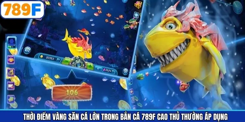 Sai lầm khi chọn khung giờ vàng săn cá lớn trong bắn cá 789F Sai lầm khi chọn khung giờ vàng săn cá lớn trong bắn cá 789F