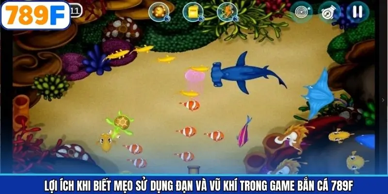 Vì sao nên nắm rõ mẹo sử dụng đạn và vũ khí khi bắn cá